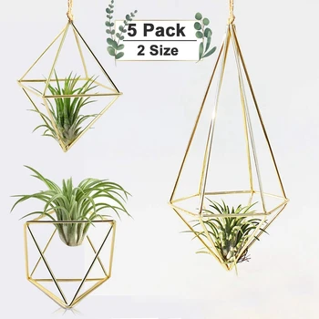 Воздушный держатель для растений, 5 упаковок, Мини-металлическая столешница, декор Himmeli, Современное геометрическое кашпо, подставка для показа воздушных папоротников Тилландсии